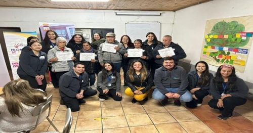 Diagnóstico participativo del adulto mayor en rengo.