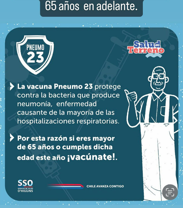 Vacuna Pneumo 23.