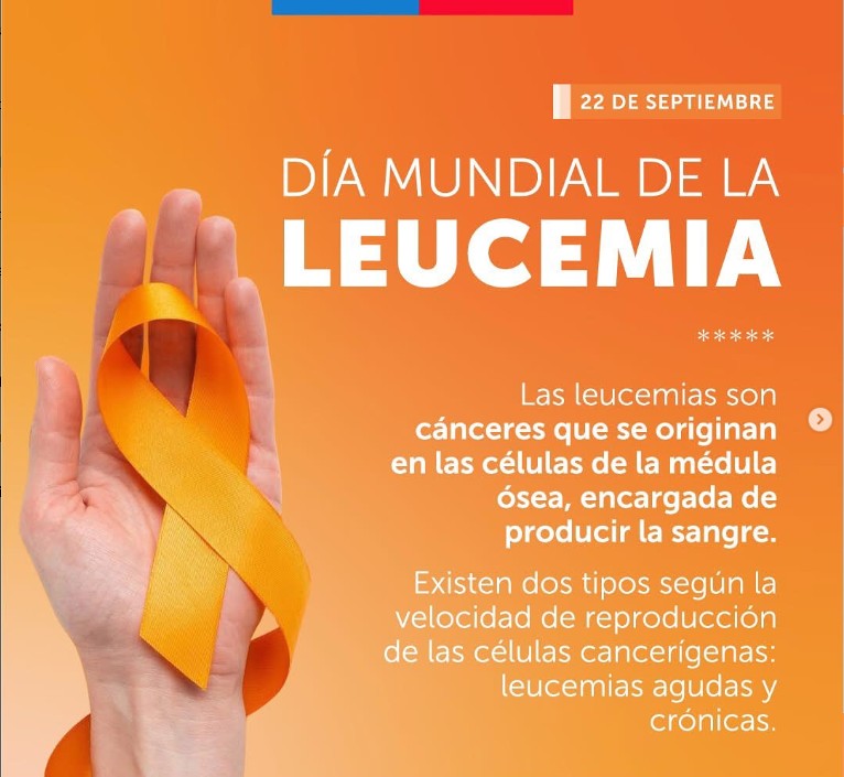 Día Mundial de la Leucemia.